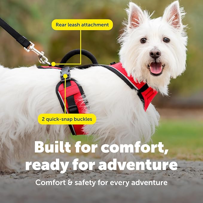PetSafe EasySport Dog Harness, Adjustable Padded Dog Harness with Control Handle and Reflective Piping, From the Makers of the Easy Walk Harness, Red | Padded, Elastic Neckline Harness for Active Dogs, Reflective Piping for Visibility, Top Control Hand...