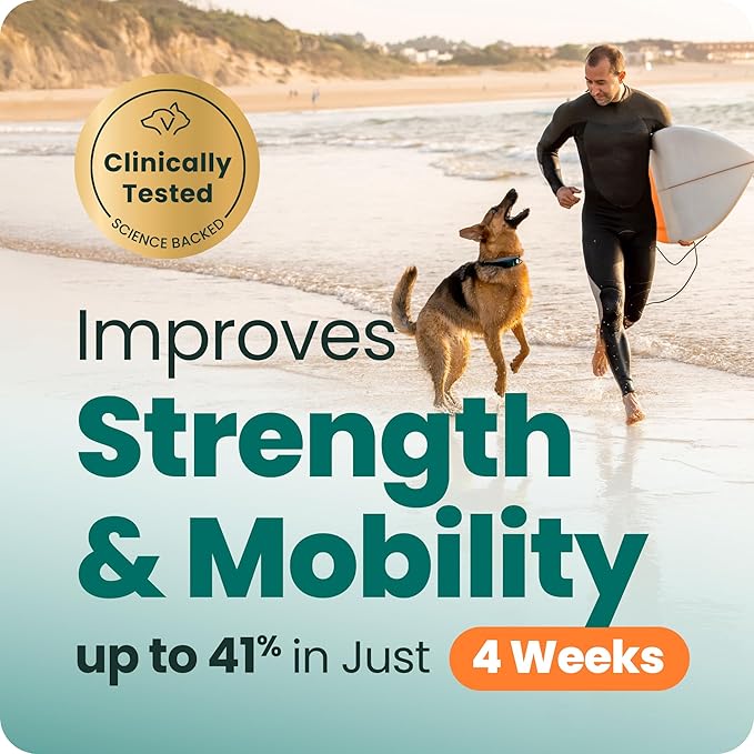 VetriScience Ultimate Strength Healthy Hip & Joint Chews, GlycoFlex Glucosamine, Chondroitin and Green-Lipped Mussel Joint Support Supplement for Dogs, Soothe Joint Discomfort, Duck, 120 Count