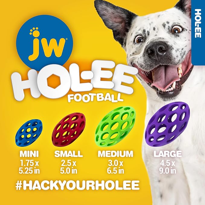 JW Pet Hol-ee Water Bottle Dog Toy, Not a Chew Toy, Medium