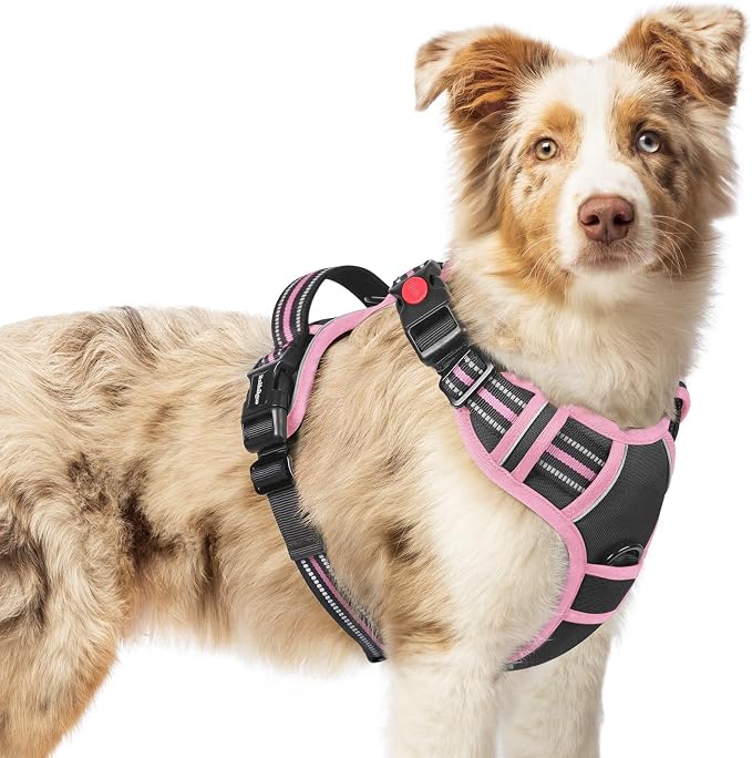rabbitgoo Dog Harness Medium Sized, Updated Easy On & Off with 3 Buckles | No Pull No Choke, Walking with 2 Clips and Handle, Adjustable Soft Reflective, Black & Pink, Medium