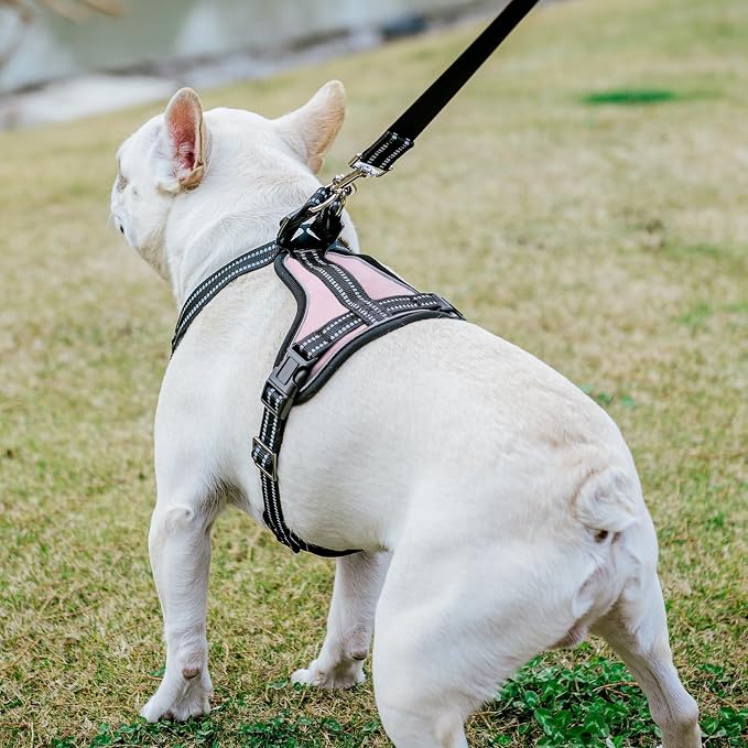 PUPTECK Dog Harness and Leash Set Medium Sized, Adjustable Reflective Escape Proof Puppy Vest, No Pull Walking Harness Easy Control