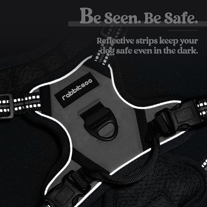 rabbitgoo Dog Harness No Pull with 2 Leash Clips, Adjustable Soft Padded, Reflective Oxford No Choke Pet Vest with Easy Control Handle for Puppy, Grey, XS | No Choke with Handle, Adjustable Soft Padded, Reflective, Easy Control for Walking, Gray, X-Small
