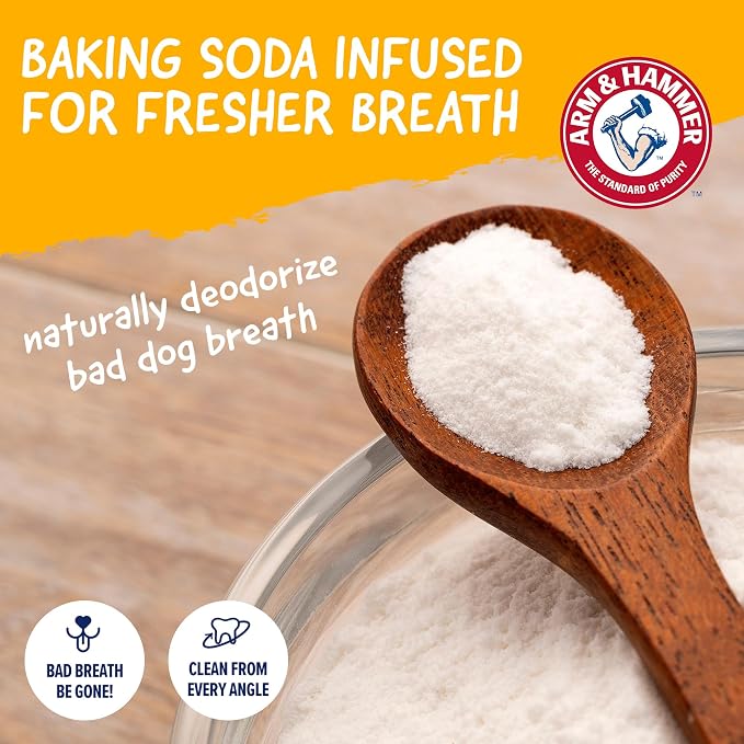Arm & Hammer Nubbies Wave Dog Dental Chew Toy, Mint Flavor | TPR construction, baking soda infused, no-stuffing design, reduces plaque and tartar, for gentle chewers