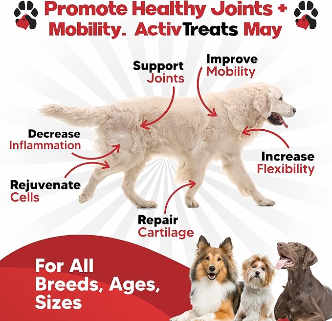 Glucosamine for Dogs Hip and Joint Supplement - Arthritis Support 120 Chews