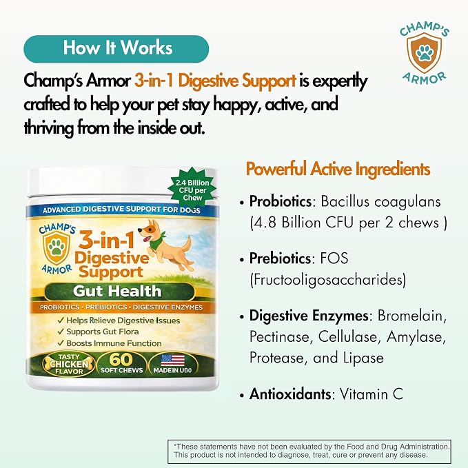 Probiotics for Dogs with Digestive Enzymes - 2.4 Billion CFU Dog Probiotic Supplements for Upset Stomach, Digestive Health, Diarrhea Relief - 60 Chicken Flavor Chews