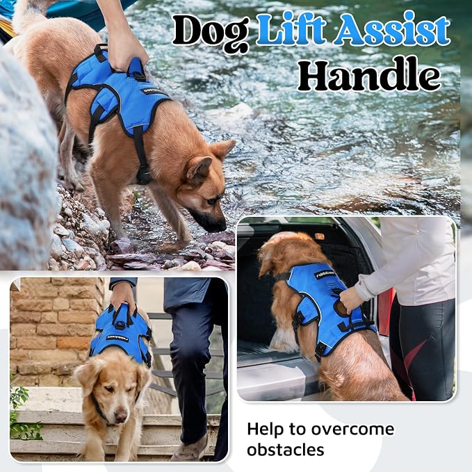 rabbitgoo Escape Proof Dog Harness for X-Large, No Pull with Lift Handle | No Escape, Full Soft Padded, Reflective Adjustable Vest, Leash Clip for Walking Hiking Training, Blue, X-Large
