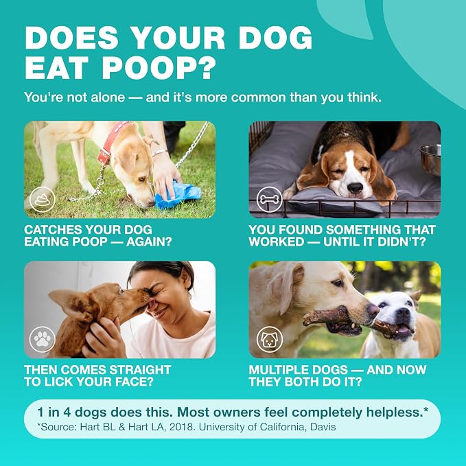 No Poo Chews for Dogs – Poop Eating & Stool Deterrent, Coprophagia Support