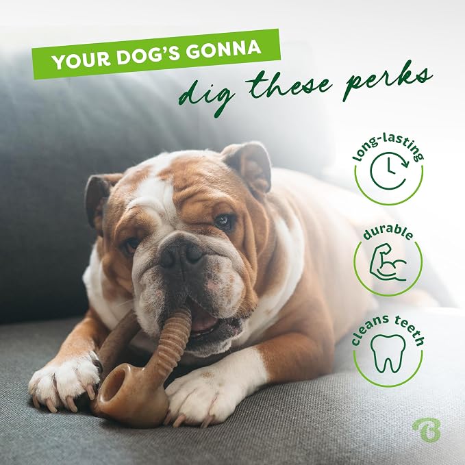 Benebone Medium 4-Pack Dog Chew Toys for Aggressive Chewers, Made in USA, 60lbs and Under & Ring Durable Dog Chew Toy for Aggressive Chewers, Real Bacon, Made in USA, Medium
