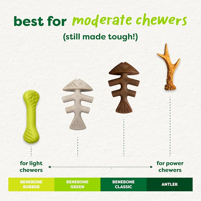 Benebone Plant-Based Fishbone Toy for Modest Chewers, Real Salmon, Medium | For Modest Chewers, Made in USA, REAL Salmon Flavor, Dog Bones