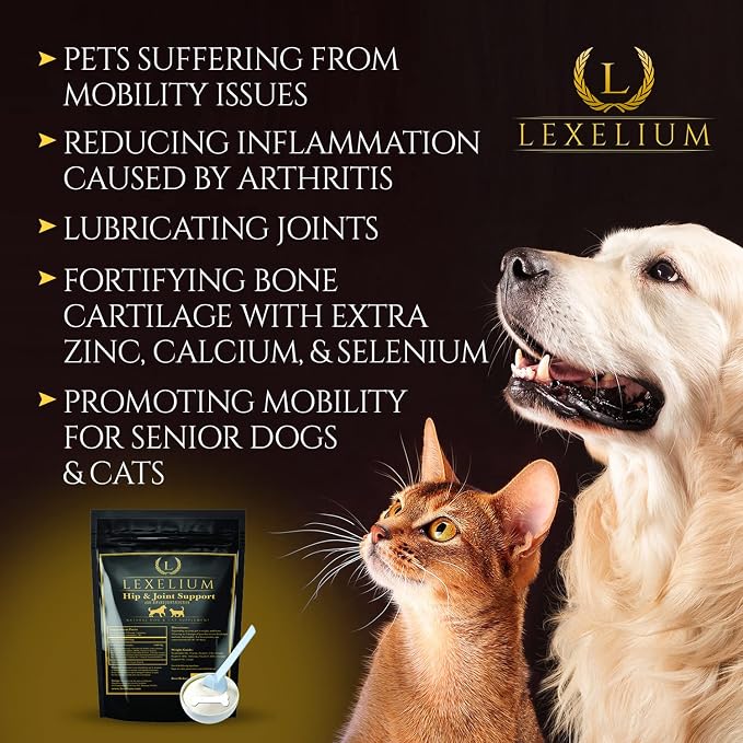Joint Care Supplement for Dogs & Cats with Glucosamine, MSM & Turmeric 200g