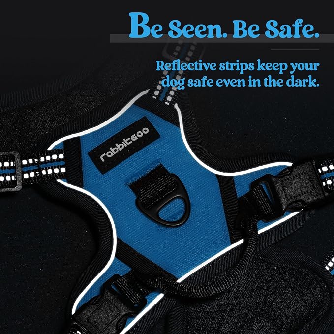 rabbitgoo Dog Harness, No Pull for Small Dogs with 2 Leash Clips, Pet Vest | No Choke with Handle, Adjustable Soft Padded, Reflective, Easy Control for Walking, Blue, X-Small