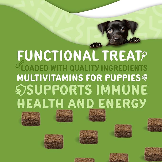 waggedy Daily Essentials Puppy – Full-Spectrum Functional Treats, Small or Large Breed Puppy Supplements – Dog Supplements & Vitamins – Dog Essentials for Puppies (60 Chews)