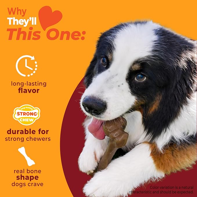 Nylabone Strong Chew Femur Bone Dog Toy, Dog Bone for Aggressive Chewers | Dog bones for large dogs and strong chewers, long-lasting chew toy made with real bison & venison