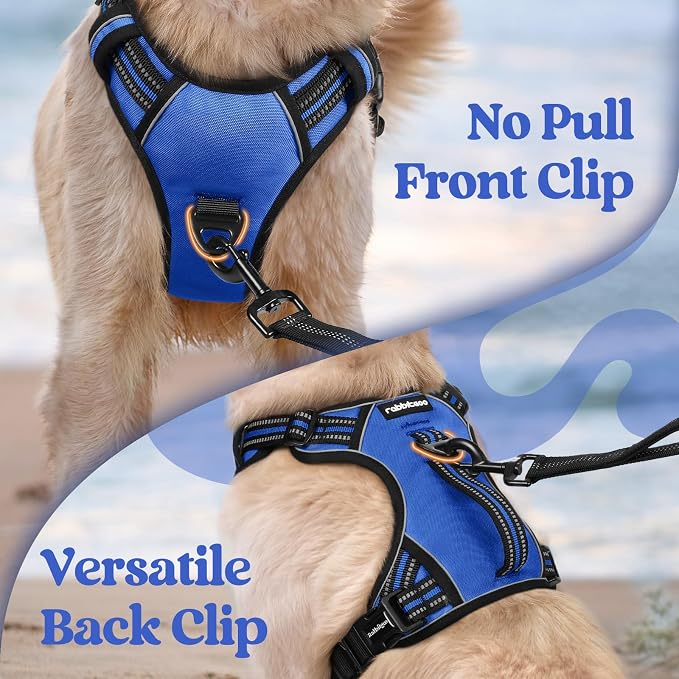 rabbitgoo Large Dog Harness, Easy Wear with 3 Buckles and Lift Handle | No Pull with Front Clip for Walking, Adjustable Soft Padded, Reflective, Easy Control, Blue, Small