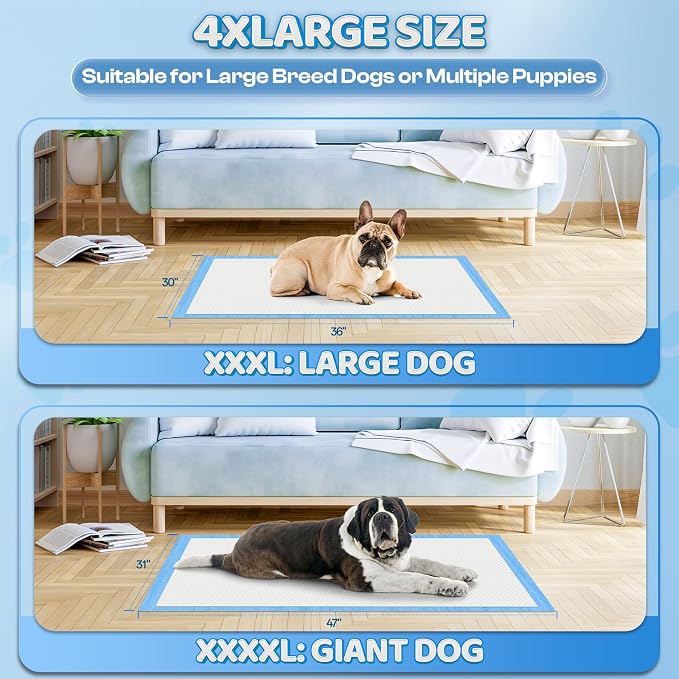 Boscute 4XL Thicken 6 Layers Ultra Absorbent Dog Pee Pads, 31”X47”Leak-Proof Odor-Control Quick Dry Puppy Training Pads Quick Dry Pee Pads for Dogs Cats Pets