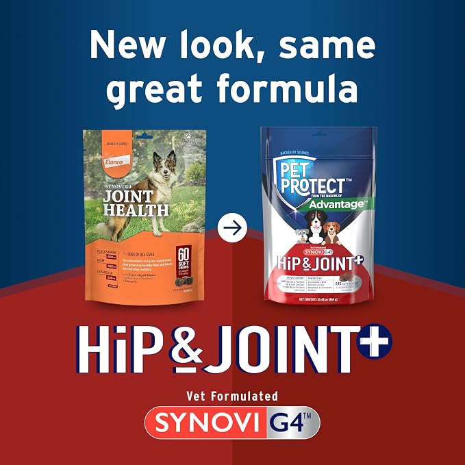 Pet Protect Hip & Joint+ Supplement for Dogs, Chicken Flavor 240ct