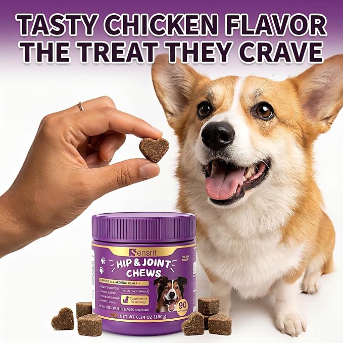 Hip and Joint Chews for Dogs - All-in-One Mobility Support with Glucosamine, MSM, Chondroitin & Green Lipped Mussel - 90CT Chicken Flavor - Helps with Dog Stiffness, Limping & Recovery.
