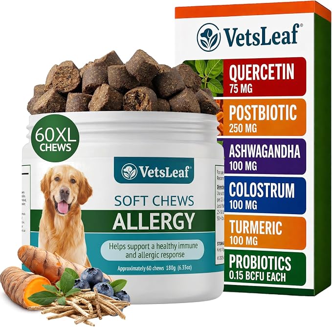 Dog Allergy Chews for Itchy Skin, Hot Spots, Paw Licking Relief & Itchy Ears – Quercetin, Turmeric, Probiotics & Colostrum – Made in USA – 60 Count