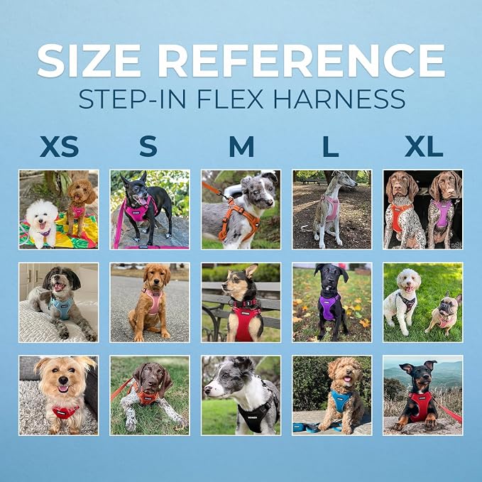 Voyager Step-in Flex Adjustable Dog Harness - Turquoise, Large | 20 - 25" in Chest, Fully Adjustable, Reflective Bands, All Weather Breathable Air Mesh, Lightweight, Fast Drying