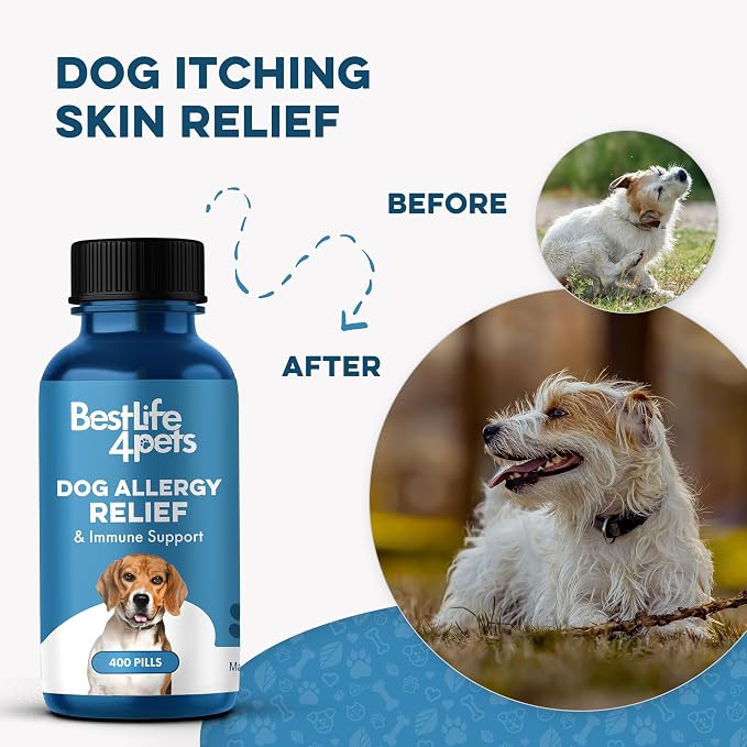 Walk-Easy Cat & Dog Joint Pain Relief, Effective Cat Pain Reliever, Anti Inflammatory & Natural Dog Hip and Joint Supplement, and Dog Allergy Relief & Immune Support, Natural Holistic Itch Relief