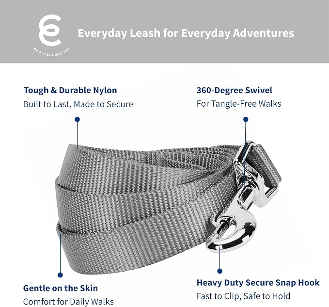 Blueberry Pet Essentials Flint Gray Dog Leash for Medium - 5' * 3/4" Dogs | Heavy Duty Nylon Lead | Lightweight Puppy & Cat Leash for Walking & Training