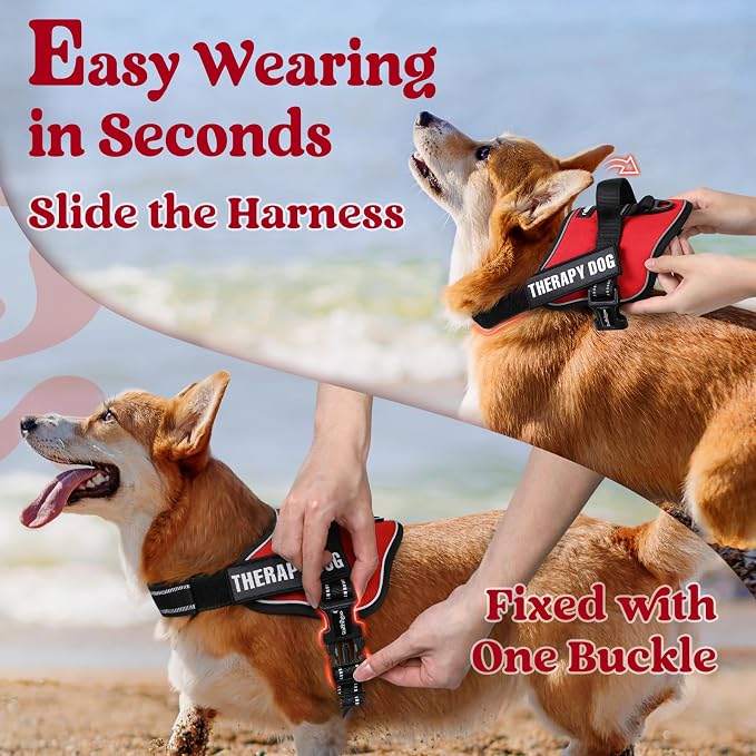 rabbitgoo No Pull No Choke Pet Vest, Adjustable Pet Harness with Molle | Large Sized Dog Harness, Reflective, Easy Wearing with One Buckle for Walking, Training, Red, L
