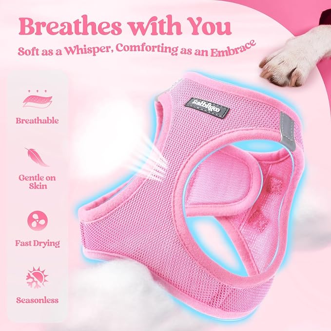 rabbitgoo Dog Harness Small Sized and Leash Set, Step-in Puppy Pet Vest | Light, Soft, Breathable Air Mesh, Easy on and Remove with Hook & Loop, Secure Reflective for Walking, Light Pink S