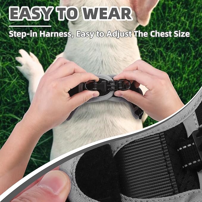 PUPTECK Dog Harness Small Sized Dog, Step in Adjustable Reflective Dog Vest Harness Escape Proof, No Pull Soft Padded Harness Easy Control, Black, XS