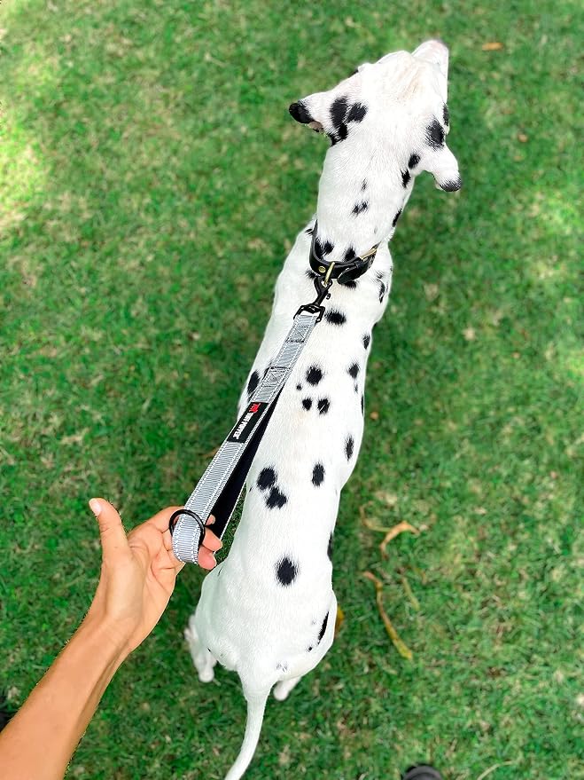 Tuff Pupper Short Dog Leash for Dog Training | 12 Inch | Perfect for Service Dog Harness & Short Training Leash | Traffic Leash Handle w/Padding | Short Leash Dog Coupler Steel Gray