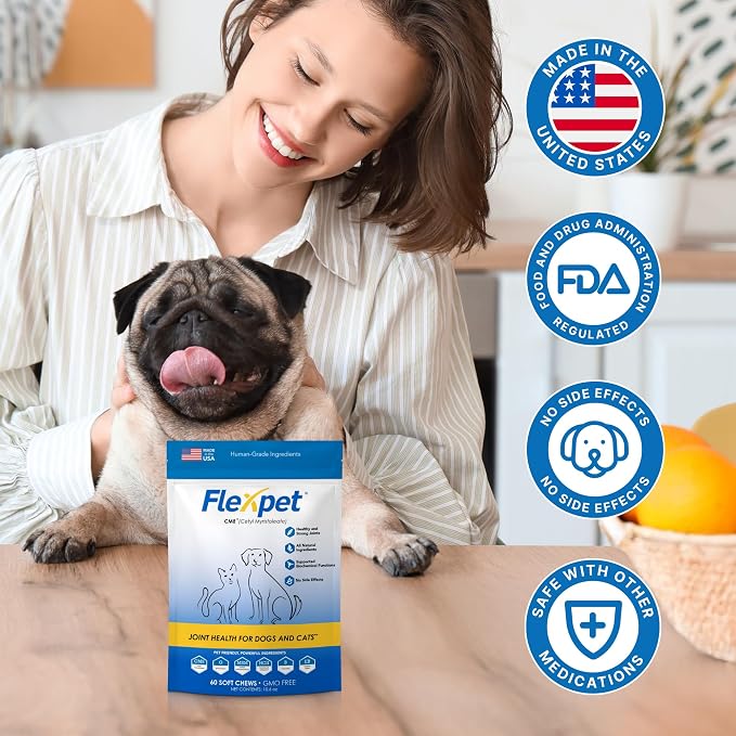 Hip & Joint Supplement for Dogs & Cats with Cetyl Myristoleate, Glucosamine, Collagen, MSM - Max Strength Joint Support for Mobility, Senior Pets, Large Breeds - 60 Soft Chews (Bacon/Cheese)