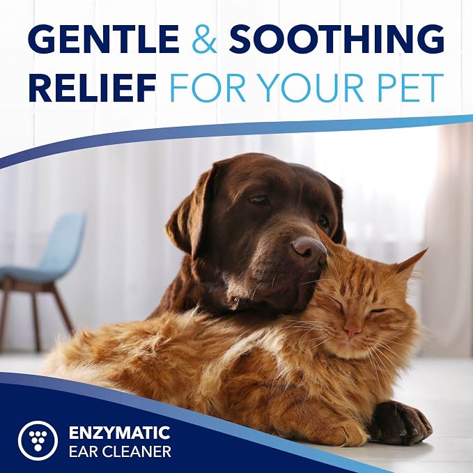 TropiClean OxyMed Enzymatic Dog Ear Cleaner, 4 oz