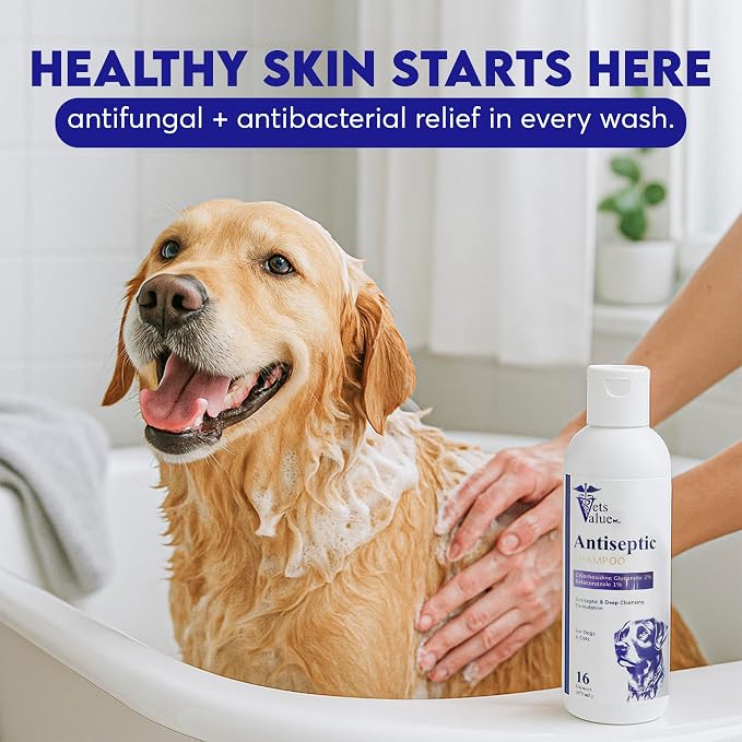 Dog & Cat Shampoo - Deep Cleansing Grooming Wash with Odor Control, Designed for Routine Care and Healthy Skin & Coat Support, Gentle Formula, 16 oz, Made in USA