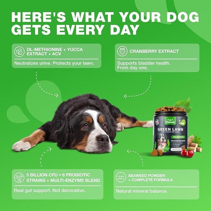 Dog Urine Neutralizer Chews – Grass Saver for Lawn & Green Grass