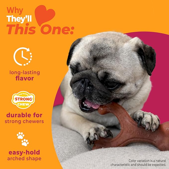 Nylabone Strong Chew Wishbone Dog Toy, Dog Toys for Aggressive Chewers | Durable chew toys for aggressive chewers, chew toy made with real bacon, small breeds up to 25 lbs, long lasting dog bone toy