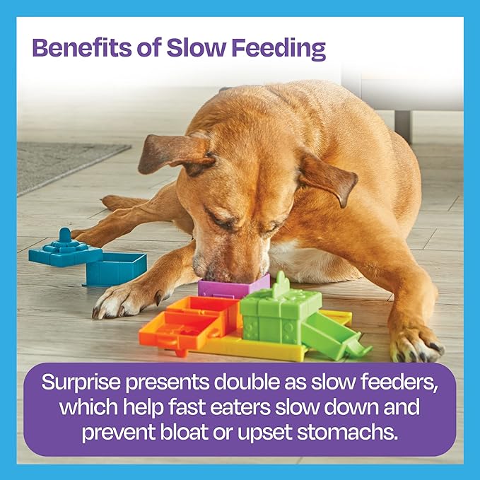 Brightkins Surprise Party Treat Puzzle - Enrichment Puzzls Toys for Dogs, Interactive Gifts for Puppies