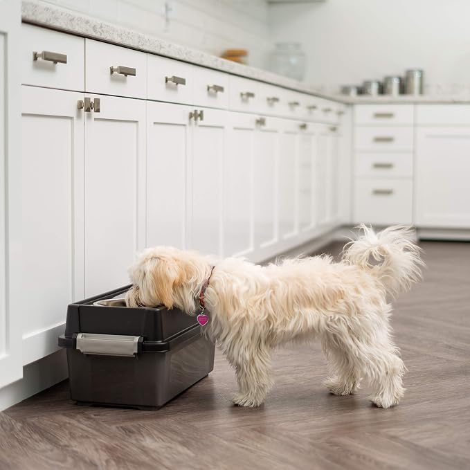 IRIS USA Dog Bowls Elevated with Storage, 9" H Raised Feeding Station with Airtight Food Container Holds Up to 13 lbs, Dog Bowl Stand for Small Dogs, Indoor Pet Feeder, Smoke/Black