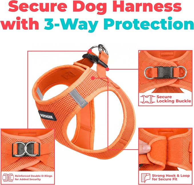 Voyager Step-in Air Dog Vest Harness - Orange, Large | 18- 20.5" in Chest, Reflective Bands, All Weather Breathable Air Mesh, Cats Compatible, Lightweight, Fast Drying