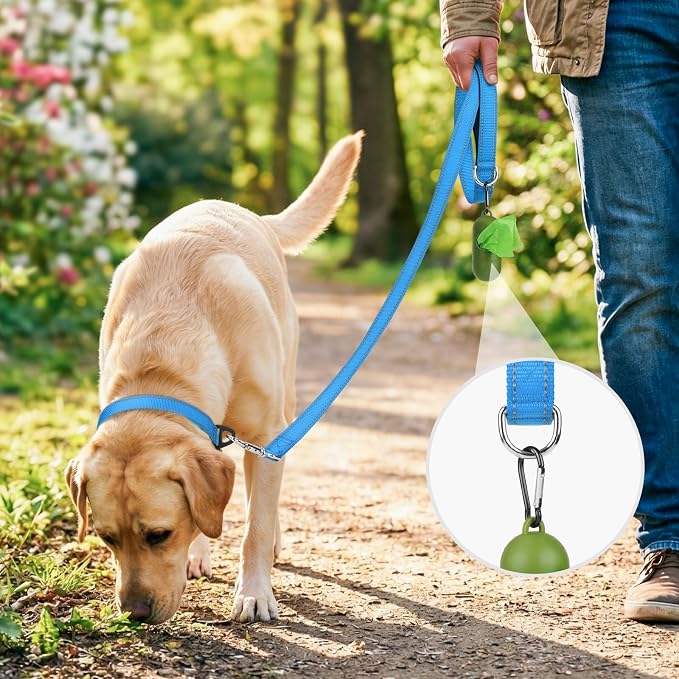 Joytale Reflective Dog Leash for Small Dogs, 4 FT x 3/4", Sky Blue | Heavy Duty Nylon Webbing, Padded Handle for Comfort, Visible at Night, for Walking & Training