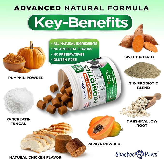 Probiotics for Dogs and Digestive Enzymes - Approx 160 Dog Probiotics Chews - Dog Probiotic - Anti Diarrhea, Upset Stomach & Gas Relief, Canine Prebiotic - Pet Fiber Supplement - Chicken Flavor