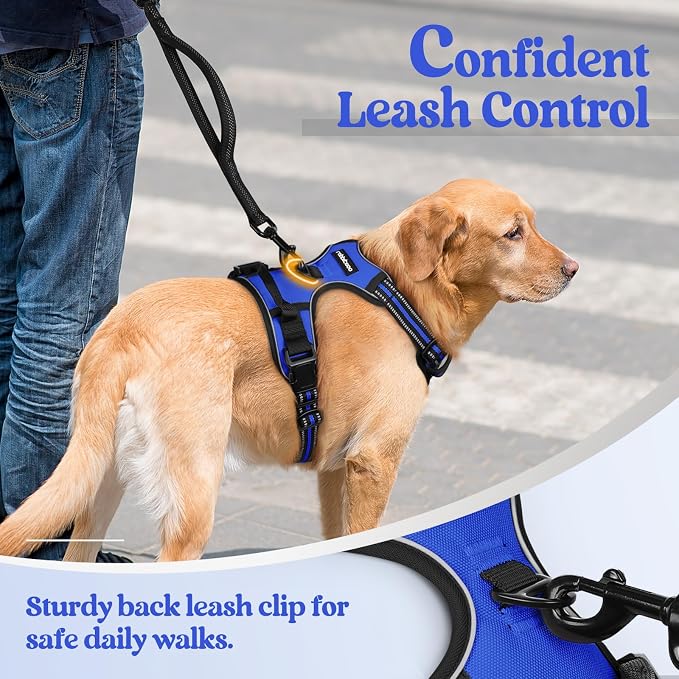 rabbitgoo Dog Harness, No Pull for Large Dogs with 2 Leash Clips, Pet Vest | No Choke with Handle, Adjustable Soft Padded, Reflective, Easy Control for Walking, Dazzling Blue, X-Large