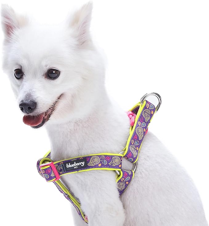 Blueberry Pet 5 Colors Soft & Comfy Step-in Paisley Flower Print Dog Harness, Chest Girth 20" - 26", Dark Orchid, Medium, Adjustable Harnesses for Dogs