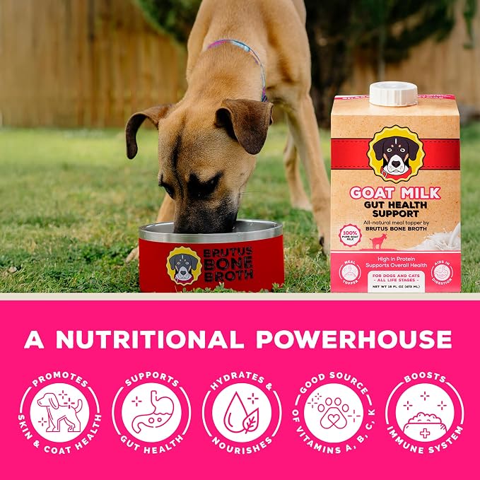 Goat Milk by Brutus Broth Meal Topper for Dogs and Cats – Formulated for Digestive Support & Moisture, Low-Lactose, Contains Natural Nutrients and Enzymes (Pack of 6)