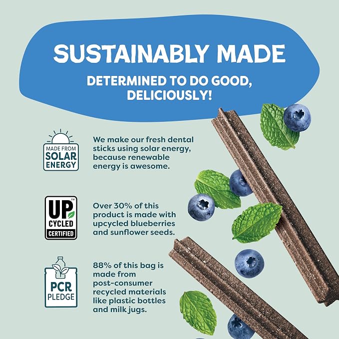 Shameless Pets Blueberry & Mint Dental Chews for Dogs, 32 Chews - Natural Dog Teeth Cleaning Treats with Fresh Breath Benefits | Grain-Free Dental Sticks for Small, Medium & Large Dogs