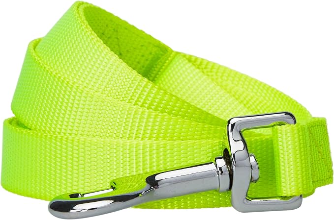 Blueberry Pet Essentials Highlighter Yellow Dog Leash for Small -5' * 5/8" Dogs | Heavy Duty Nylon Lead | Lightweight Puppy & Cat Leash for Walking & Training