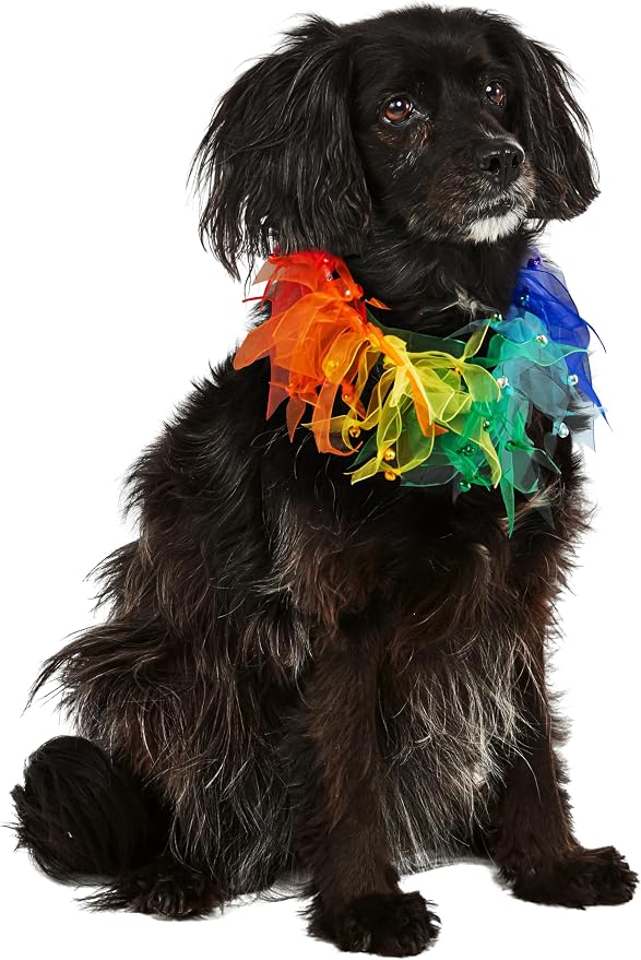 Rubies Decorative Rainbow Pet Collar for Dogs or Cats, Small/Medium