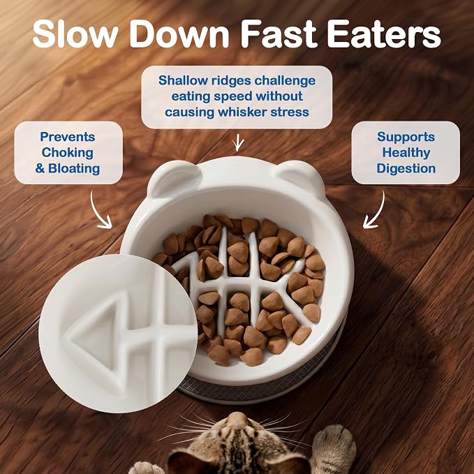 2 Pack Anti-Vomit Elevated Slow Feeder Cat Bowls with 2 Non-Slip Mats – Ceramic Whisker-Friendly Tilted Orthopedic Feeding Set, Ideal for Senior Cats & Small Dogs