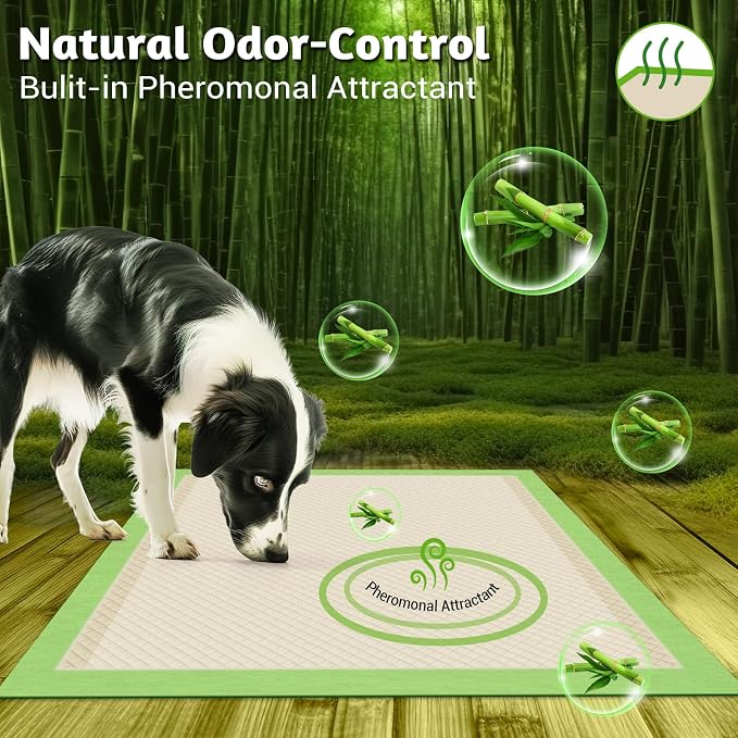 MIZOK Pee Pads for Dogs 36x36in Bamboo Dog Pads Extra Large Super Absorbent Odor Eliminating Leak-Proof, Puppy Pads with Adhesive Tabs for Large Breeds, Disposable (30 Count)