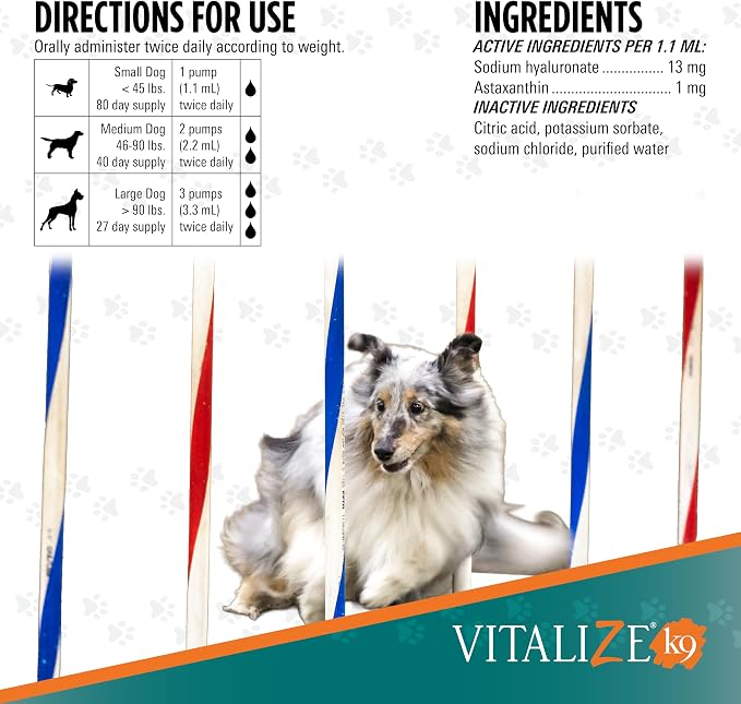 TRIXSYN Vitalize Canine Performance, 6 fl oz