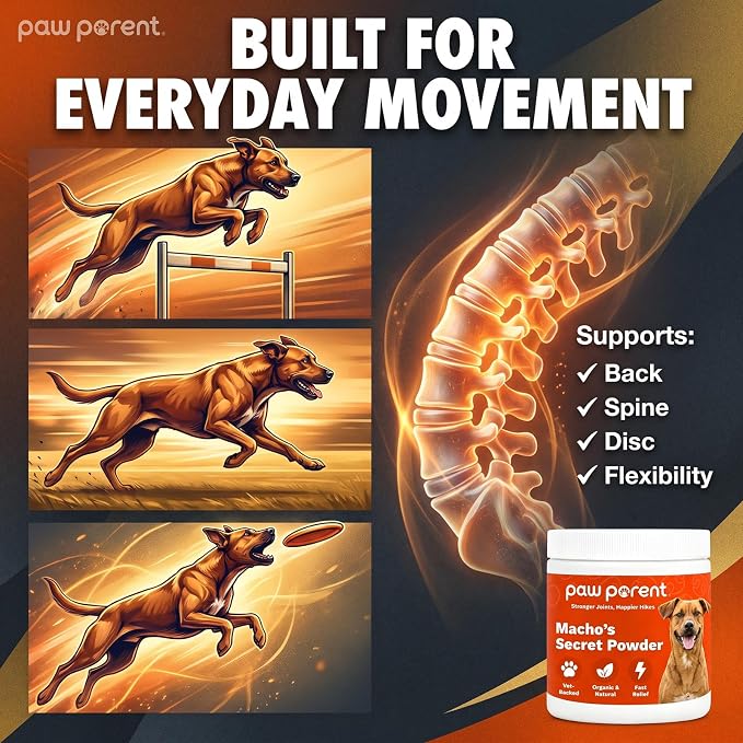 Paw Parent Macho's Secret Powder, Green Lipped Mussel Hip & Joint Powder for Dogs, Spine and Disc Powders, Cardiac Shield Formula with Glucosamine, Msm & Omega-3 for Mobility Support，2Pc