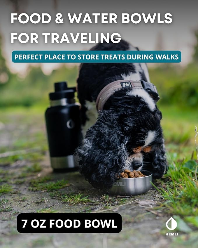 32 oz. Portable Dog Water Bottle and Bowl, Perfect for Walking, Hiking and Travel